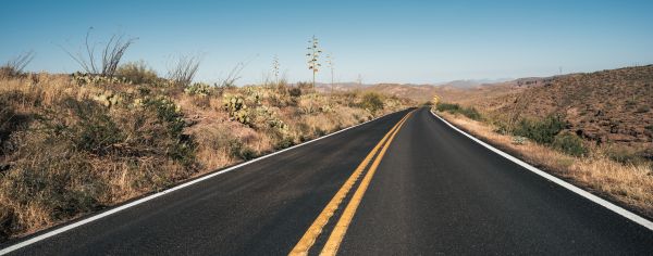 Blacktop Service in Palmetto