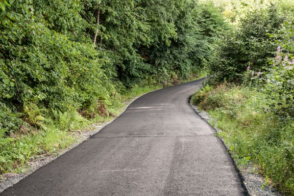 Asphalt Driveway Replacement in Palmetto